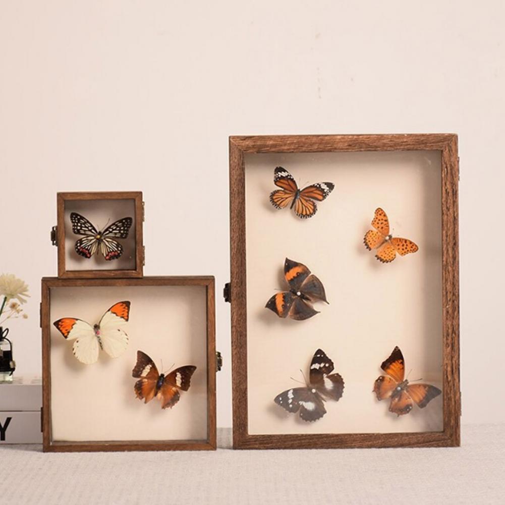 Insect Hotel Wood - Vitrine aus Holz, Schmetterlings-Schattenbox, mehrere Größen,