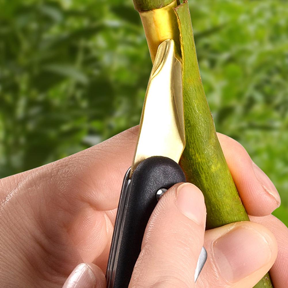 Obst- und Gemüse-Pfropfmaschin – Smart Garden Edging Bewertung und Preis