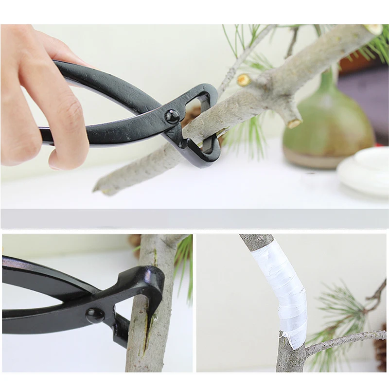 1 stücke Professionelle Bonsai – Smart Garden Edging Bewertung und Preis
