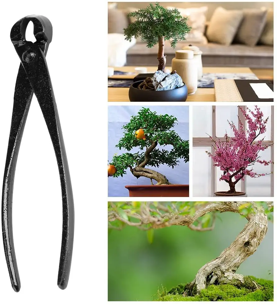 1 stücke Professionelle Bonsai – Smart Garden Edging Bewertung und Preis