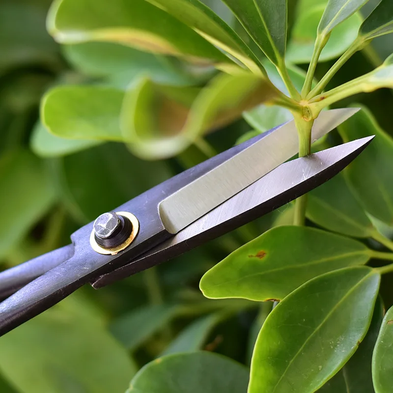 1 stücke Professionelle Bonsai – Smart Garden Edging Bewertung und Preis