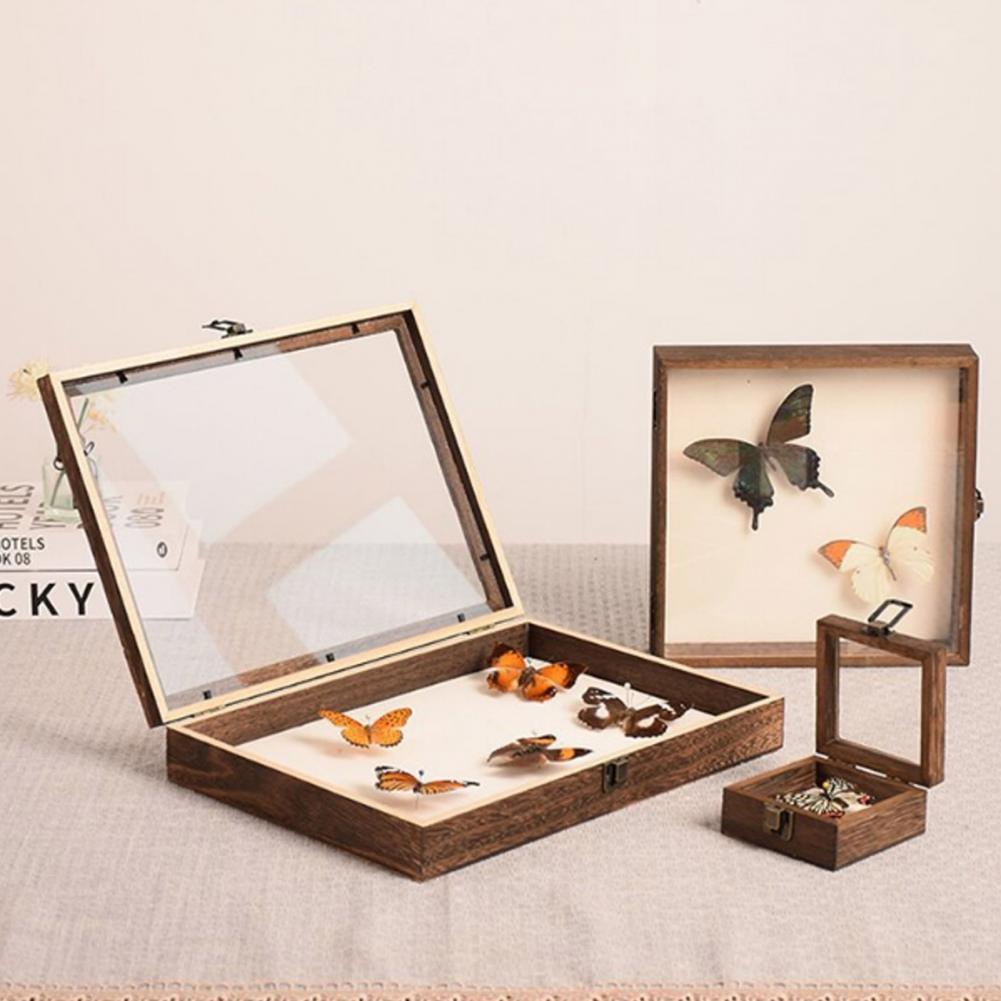 Vitrine aus Holz, Schmetterlin – Insect Hotel Wood Bewertung und Preis