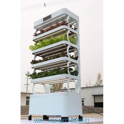 Arming Home Hydroponic Growing – Smart Garden In Home Bewertung und Preis