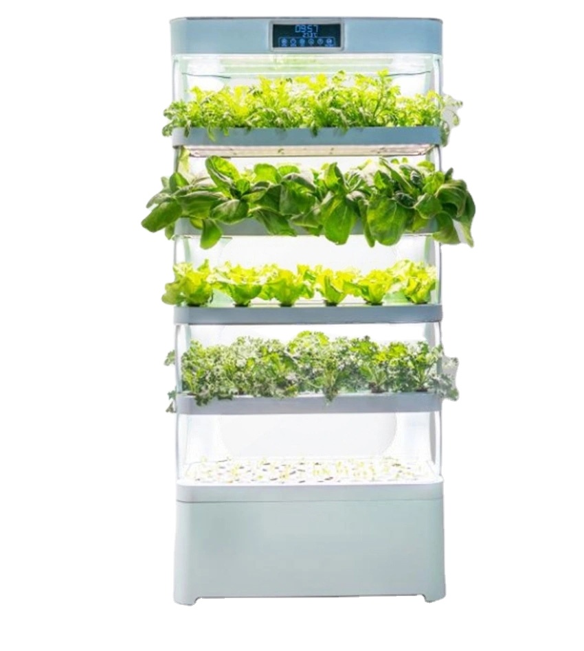 Arming Home Hydroponic Growing – Smart Garden In Home Bewertung und Preis