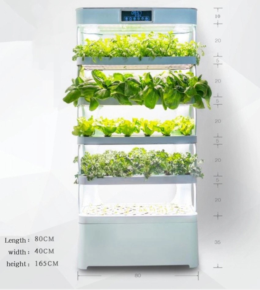 Arming Home Hydroponic Growing – Smart Garden In Home Bewertung und Preis